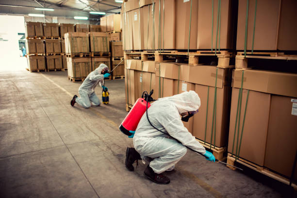 Best Pest Prevention Services  in Eaton, CO