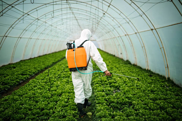 Best Commercial Pest Control Services  in Eaton, CO