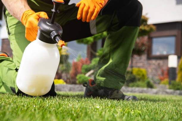 Best Insect Control  in Eaton, CO