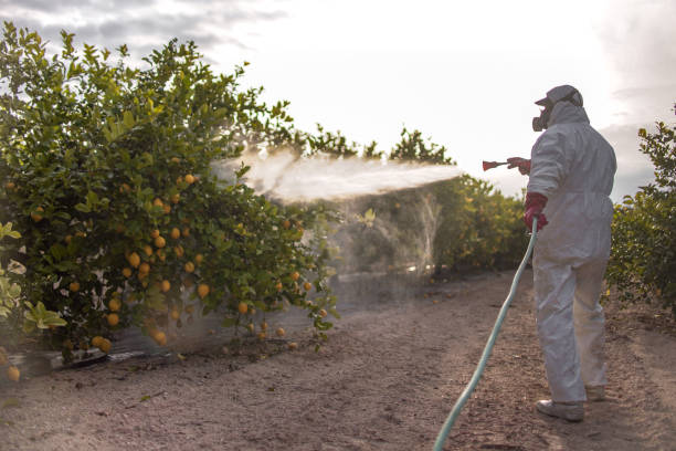 Best Pest Removal Services  in Eaton, CO