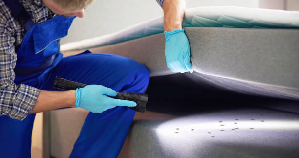 Best Pest Inspection Near Me  in Eaton, CO