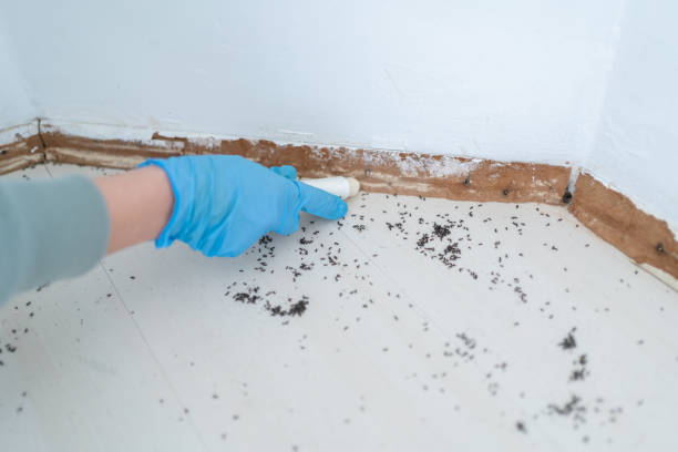 Best Best Pest Control Companies  in Eaton, CO