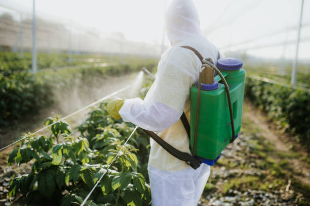 Best Affordable Pest Control Services  in Eaton, CO
